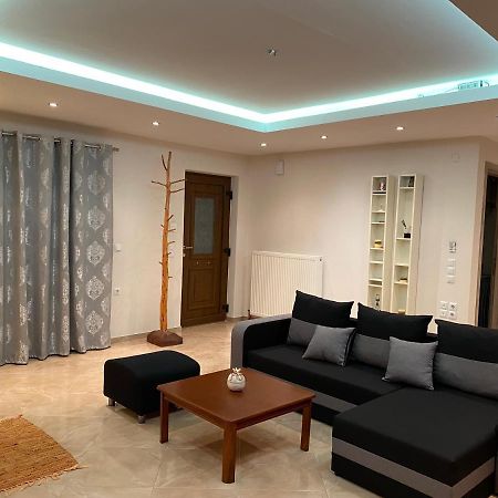 Αρτέμιδα Plus Karpenisi Apartment Bagian luar foto